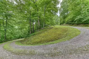386 Billy Goat Blf, Elk Park, NC 28622 - Photo 45
