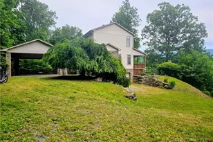 386 Billy Goat Blf, Elk Park, NC 28622 - Photo 43