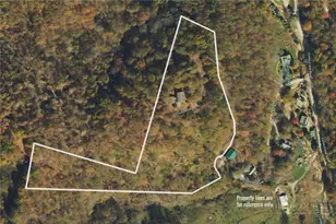 386 Billy Goat Blf, Elk Park, NC 28622 - Photo 47