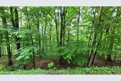 130 E Blueberry Lane, Beech Mountain, NC 28604 - Photo 9