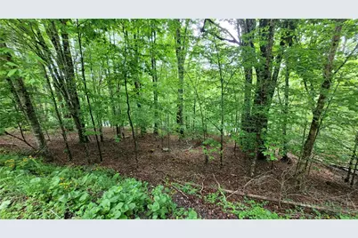 130 E Blueberry Lane, Beech Mountain, NC 28604 - Photo 1