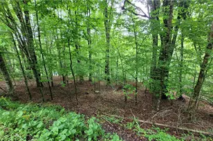 130 E Blueberry Ln, Beech Mountain, NC 28604 - Photo 1