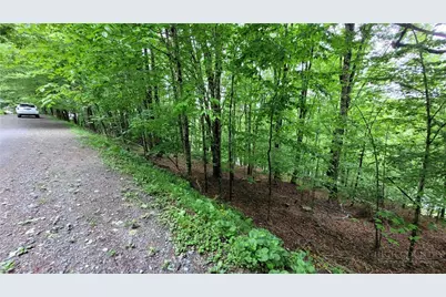 130 E Blueberry Lane, Beech Mountain, NC 28604 - Photo 5