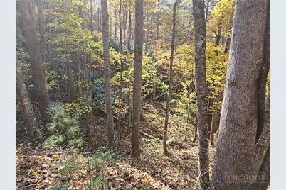 Lot 62 Bent Bow Drive, Collettsville, NC 28645 - Photo 11