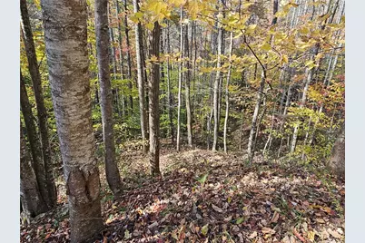 Lot 62 Bent Bow Drive, Collettsville, NC 28645 - Photo 5