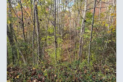 Lot 62 Bent Bow Drive, Collettsville, NC 28645 - Photo 13