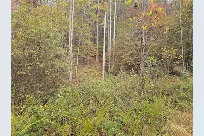 Lot 62 Bent Bow Drive, Collettsville, NC 28645 - Photo 9