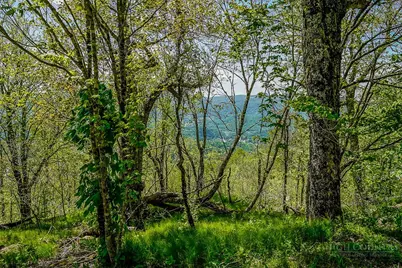 Lot 7 Emerald Court, Beech Mountain, NC 28604 - Photo 7