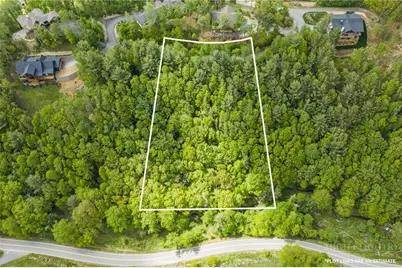 Lot 38 White Fox Lane, Banner Elk, NC 28604 - Photo 1