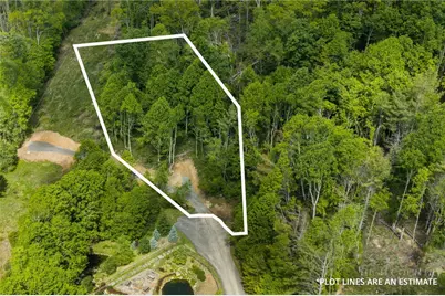 Lot 44 W Silver Springs Drive, Banner Elk, NC 28604 - Photo 1