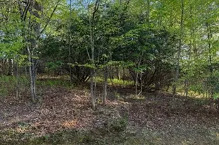 Lot #29 Isabel Way, Piney Creek, NC 28663 - Photo 1