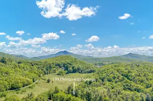 139 Chinquapin Springs Ln, Newland, NC 28657 - Photo 31