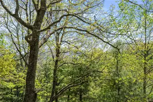 480 N Ridge Cir, Boone, NC 28607 - Photo 37