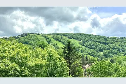 104 Snowplow Lane #7, Beech Mountain, NC 28604 - Photo 3