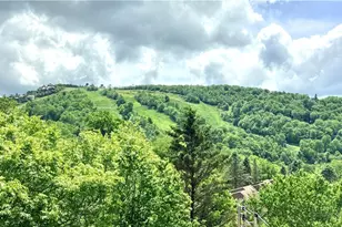 104 Snow Plow Ln, Beech Mountain, NC 28604 - Photo 3