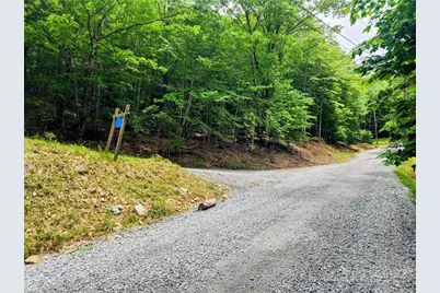 136 Locust Ridge Road, Beech Mountain, NC 28604 - Photo 3
