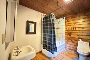 194 Shulls Hollar Rd, Sugar Grove, NC 28679 - Photo 47