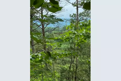 35, 36, 37 Big Sky Road, Ferguson, NC 28624 - Photo 3