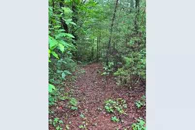 35, 36, 37 Big Sky Road, Ferguson, NC 28624 - Photo 7