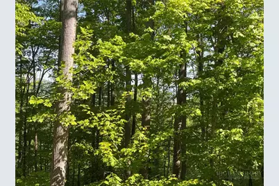 926 Pine Ridge Road, Beech Mountain, NC 28604 - Photo 5