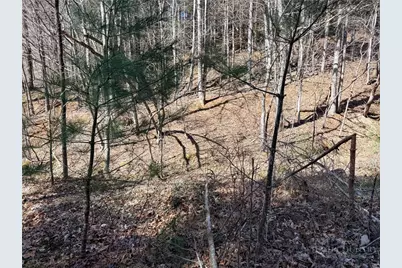 Tbd Lot 19 Lost Trail, West Jefferson, NC 28694 - Photo 11