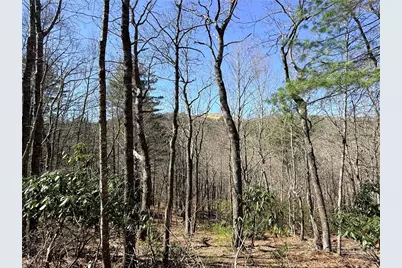Tbd Lot 19 Lost Trail, West Jefferson, NC 28694 - Photo 3