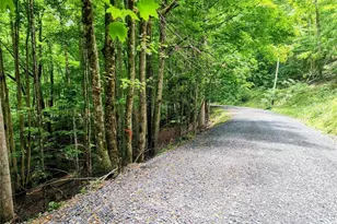 139 Raccoon Rd, Beech Mountain, NC 28604 - Photo 1