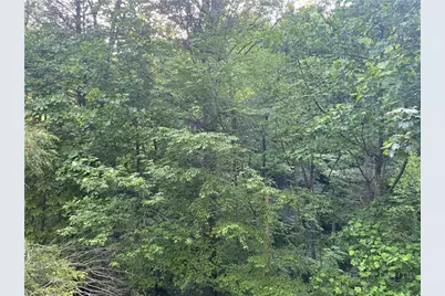 156 Dragonfly Lane, Boone, NC 28607 - Photo 3