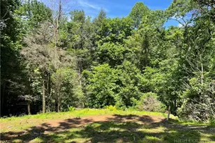 156 Dragonfly Ln, Boone, NC 28607 - Photo 1