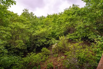 280 Chinkapin Ridge, Seven Devils, NC 28604 - Photo 35