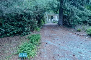 40 Spring Brook Rd, Newland, NC 28657 - Photo 39