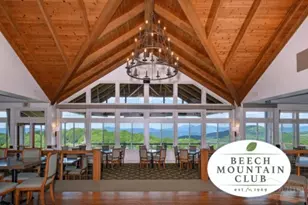 101 Golfview Dr, Beech Mountain, NC 28604 - Photo 47