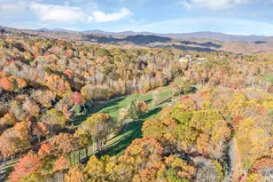 101 Golfview Dr, Beech Mountain, NC 28604 - Photo 43