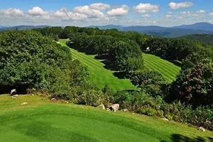 101 Golfview Dr, Beech Mountain, NC 28604 - Photo 45