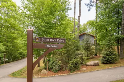 127 Bitter Root Drive, Blowing Rock, NC 28605 - Photo 47