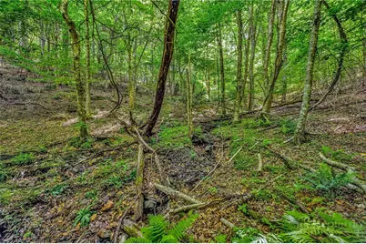 Lot 12 Lauren Glen Trail, West Jefferson, NC 28694 - Photo 17