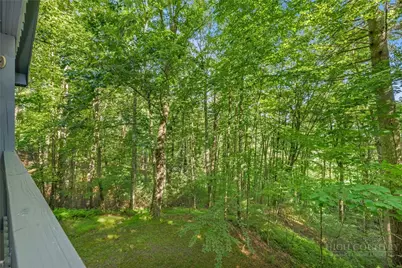 4194 Huckleberry Ridge Road, Crumpler, NC 28617 - Photo 13