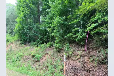 Tbd N Marley Ford Road, Ferguson, NC 28624 - Photo 23