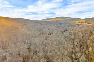 133 & 135 Locust Ridge Rd, Beech Mountain, NC 28604 - Photo 45