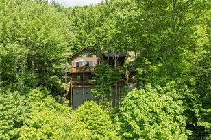 173 Rhododendron Dr, Beech Mountain, NC 28604 - Photo 9