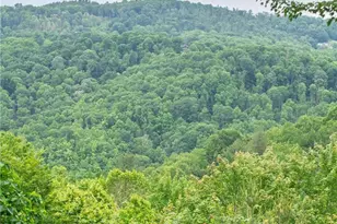 173 Rhododendron Dr, Beech Mountain, NC 28604 - Photo 43