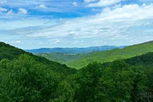 107 Woodridge Rd + 4 6 Acres, Beech Mountain, NC 28604 - Photo 43