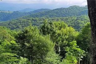 107 Woodridge Rd + 4 6 Acres, Beech Mountain, NC 28604 - Photo 3