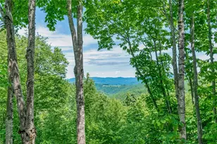 107 Woodridge Rd + 4 6 Acres, Beech Mountain, NC 28604 - Photo 21