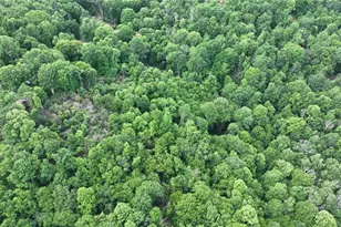 107 Woodridge Rd + 4 6 Acres, Beech Mountain, NC 28604 - Photo 45