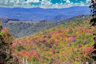 107 Woodridge Rd + 4 6 Acres, Beech Mountain, NC 28604 - Photo 49