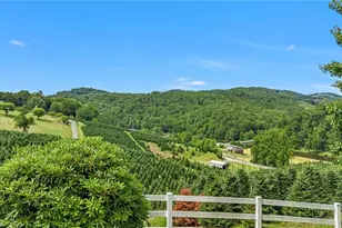 450 Nc Hwy 88 E, Jefferson, NC 28640 - Photo 7