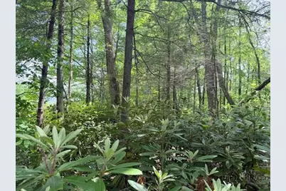 Lot 42 Linville River Lane, Linville, NC 28646 - Photo 13