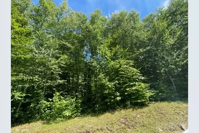 Lot 42 Linville River Lane, Linville, NC 28646 - Photo 9