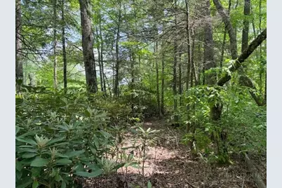 Lot 42 Linville River Lane, Linville, NC 28646 - Photo 15
